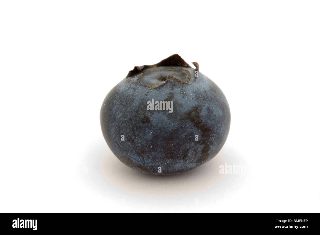 single blueberry isolated on a white background Stock Photo