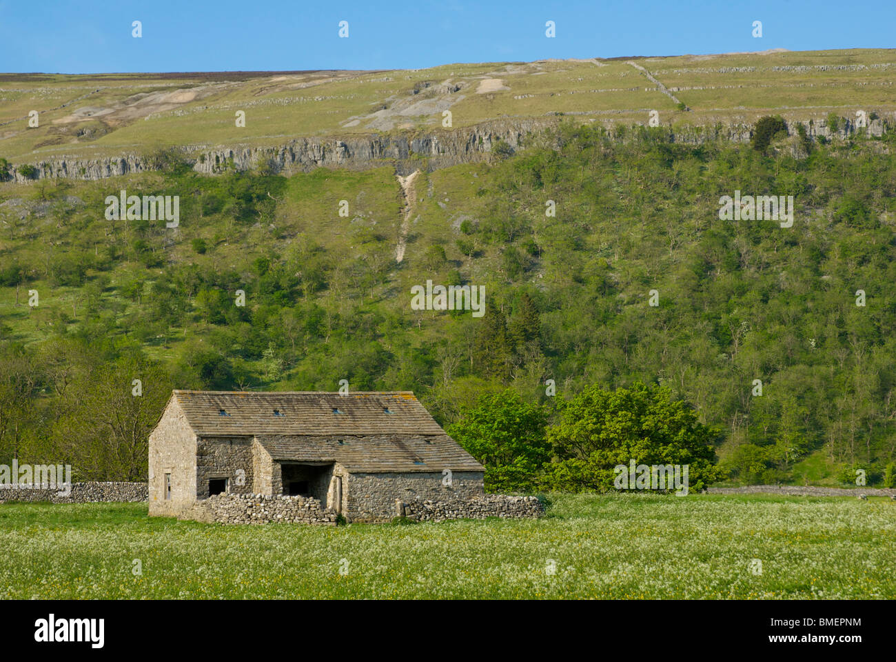 Field barn in Littondale, Yorkshire Dales National Park, North Yorkshire, England UK Stock Photo