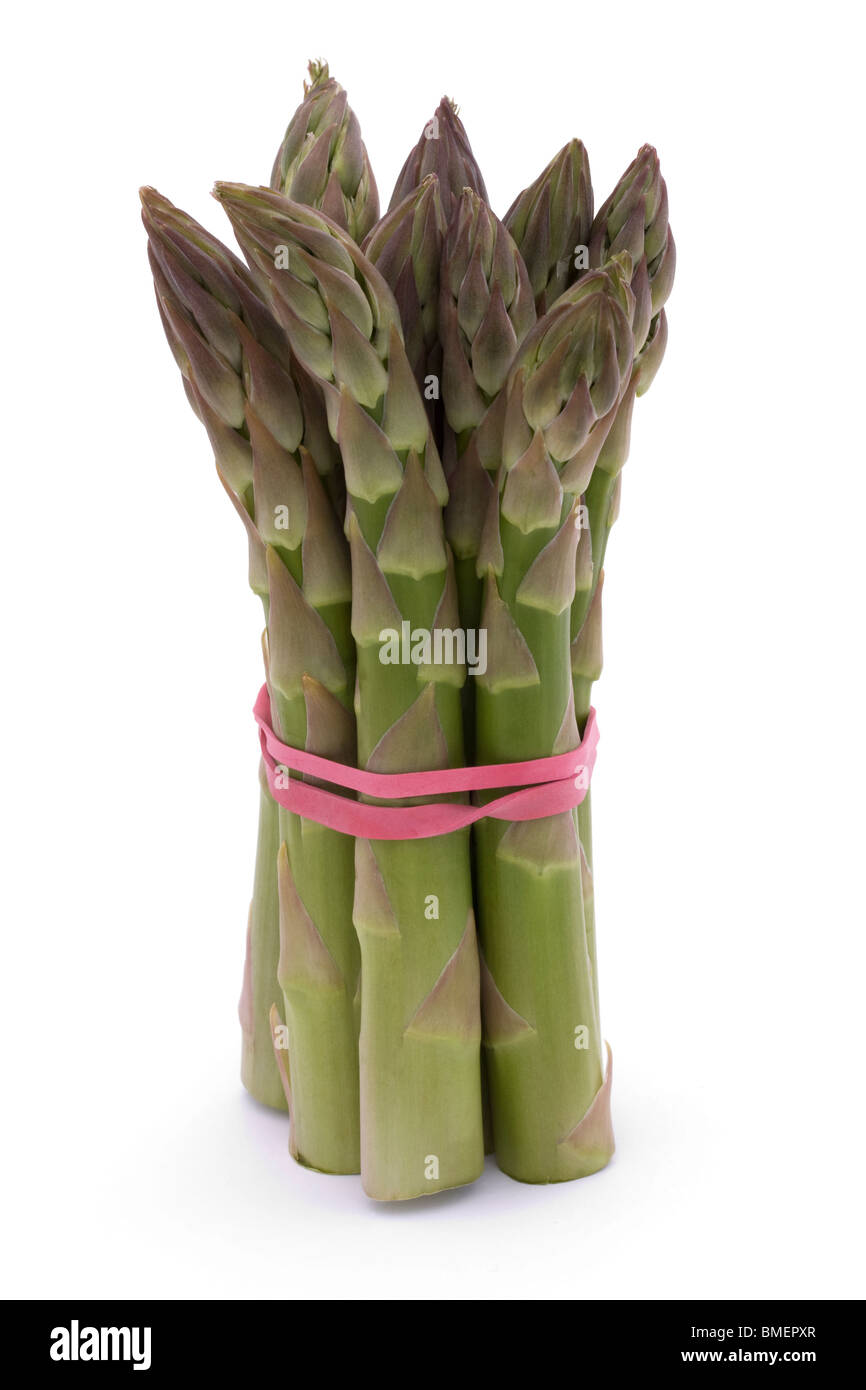 bunch of asparagus spears on a white background Stock Photo