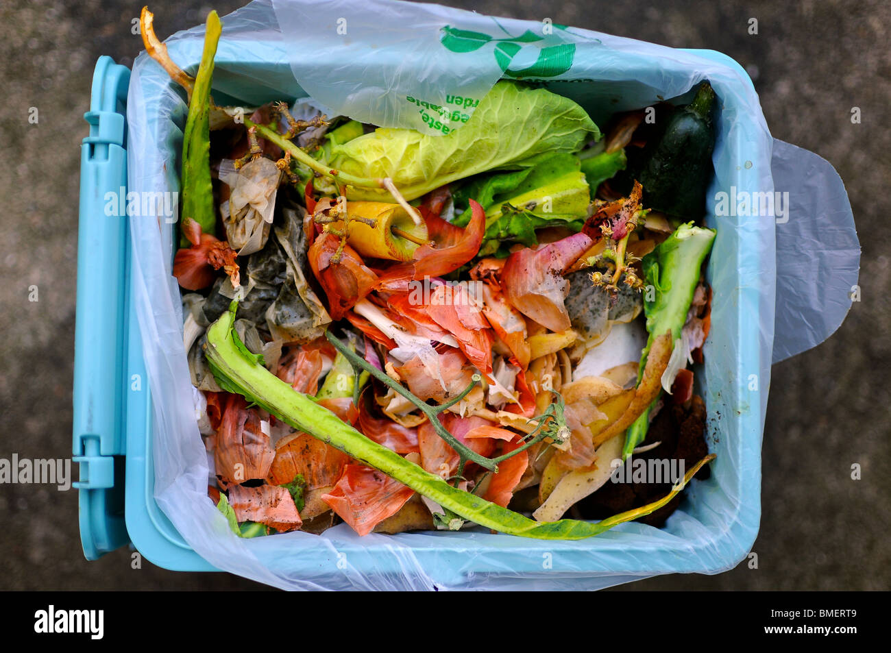 Composteur de cuisine JOSEPH JOSEPH de table Food Waste Caddy