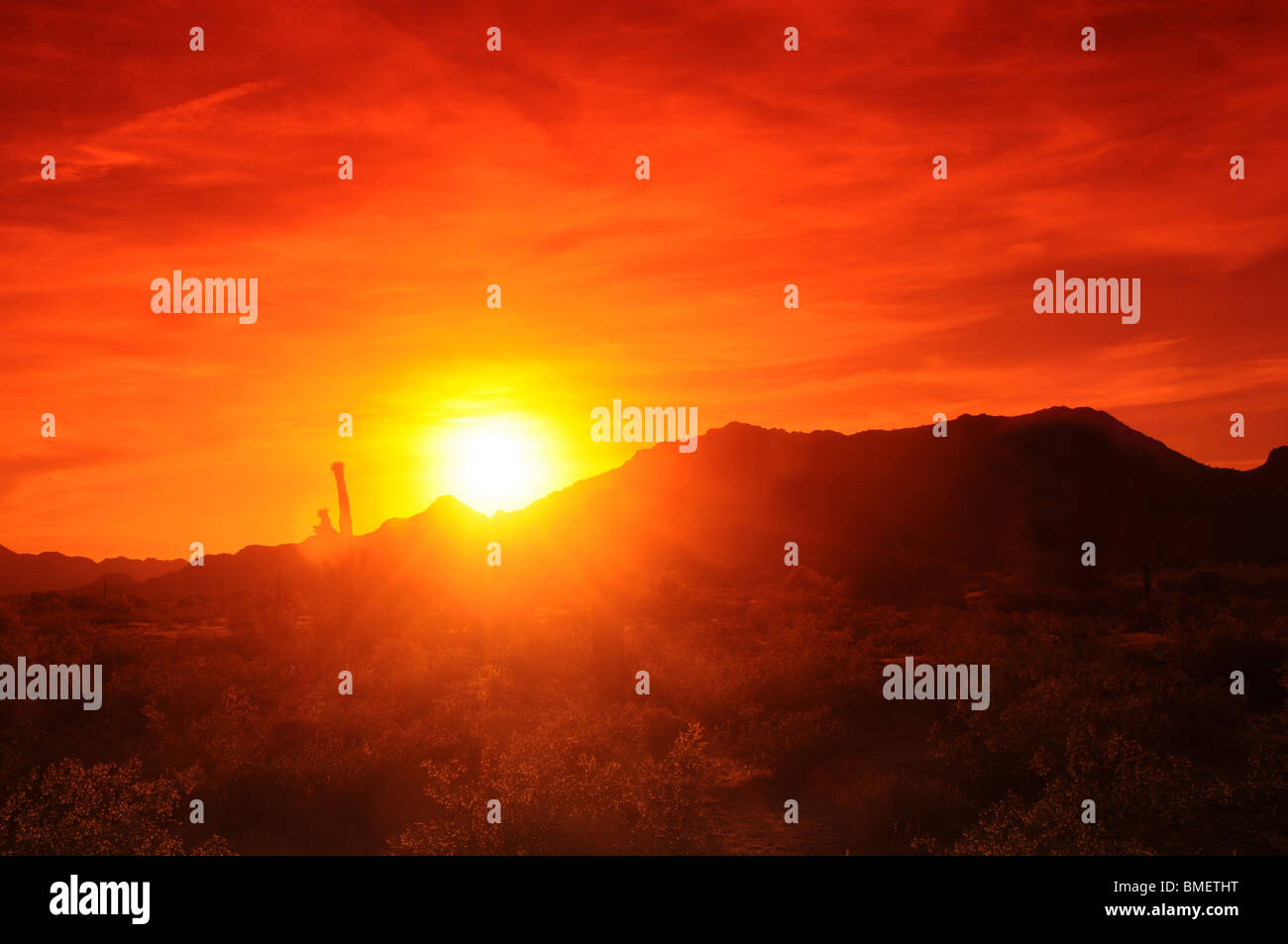 Fiery arizona desert sunset hi-res stock photography and images - Alamy