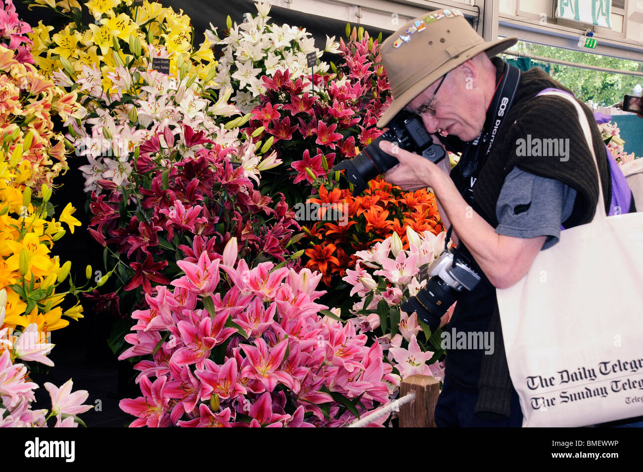 Annual Chelsea Flower Show 2010 - a flower fan takes a close-up photo of a beautiful Lilly in The Great Pavilion. Stock Photo