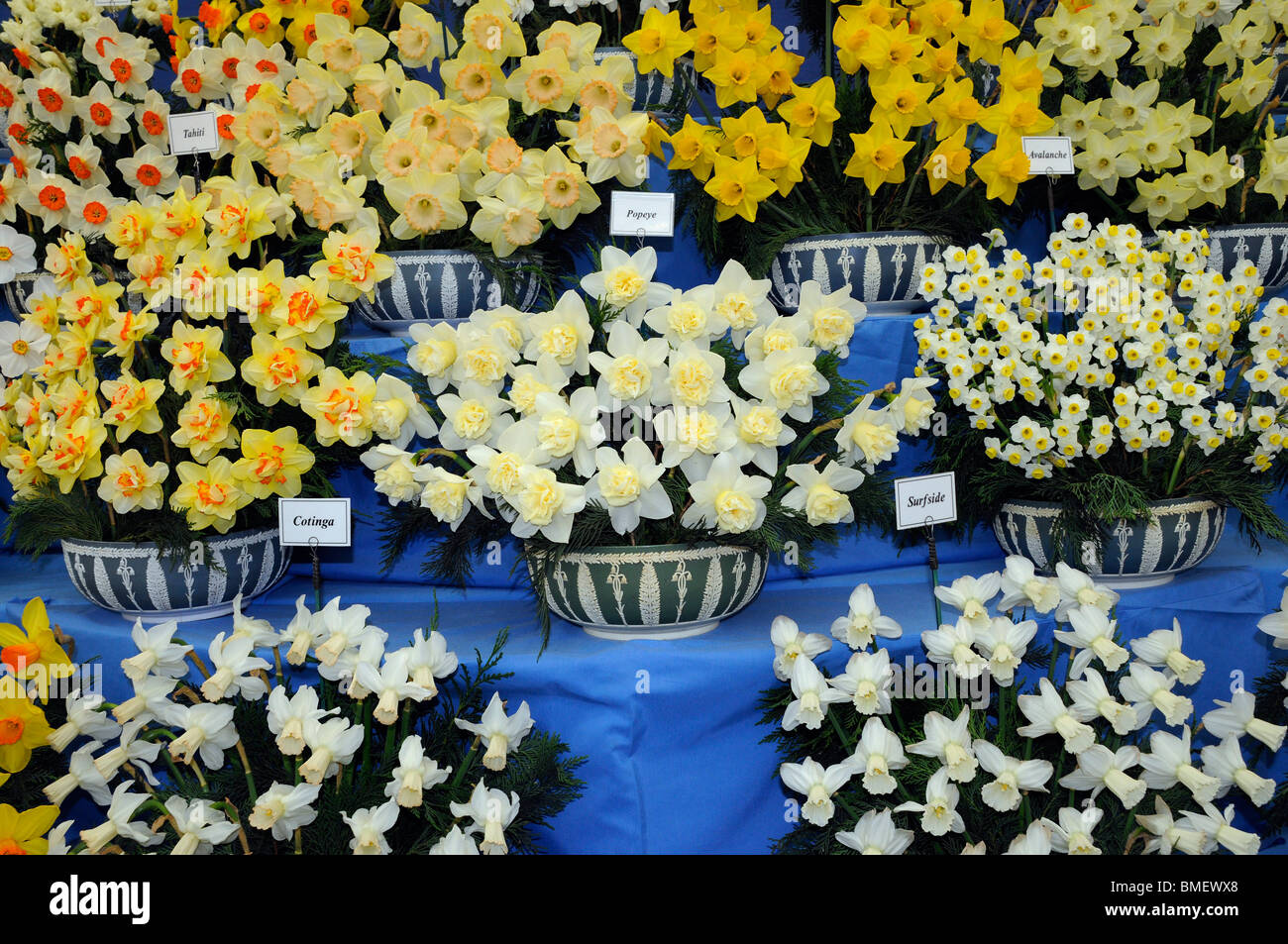 Annual Chelsea Flower Show Public viewing day, Friday 28th May, 2010