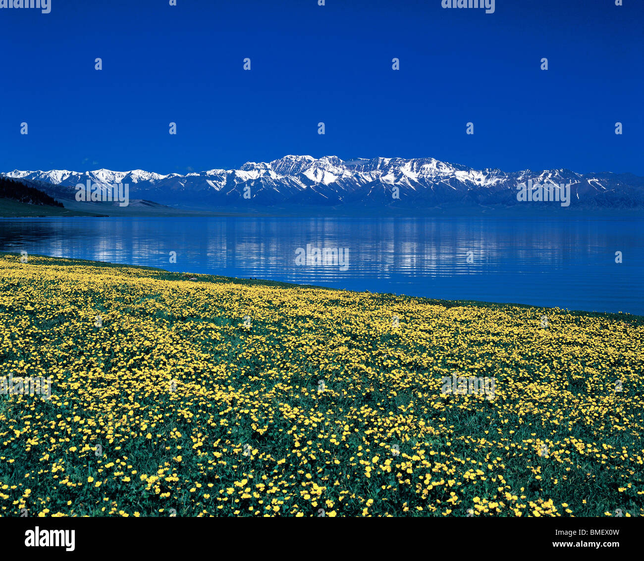 Magnificent of Sailimu Lake, Bole County, Bortala Mongol Autonomous Prefecture, Xinjiang Uyghur Autonomous Region, China Stock Photo