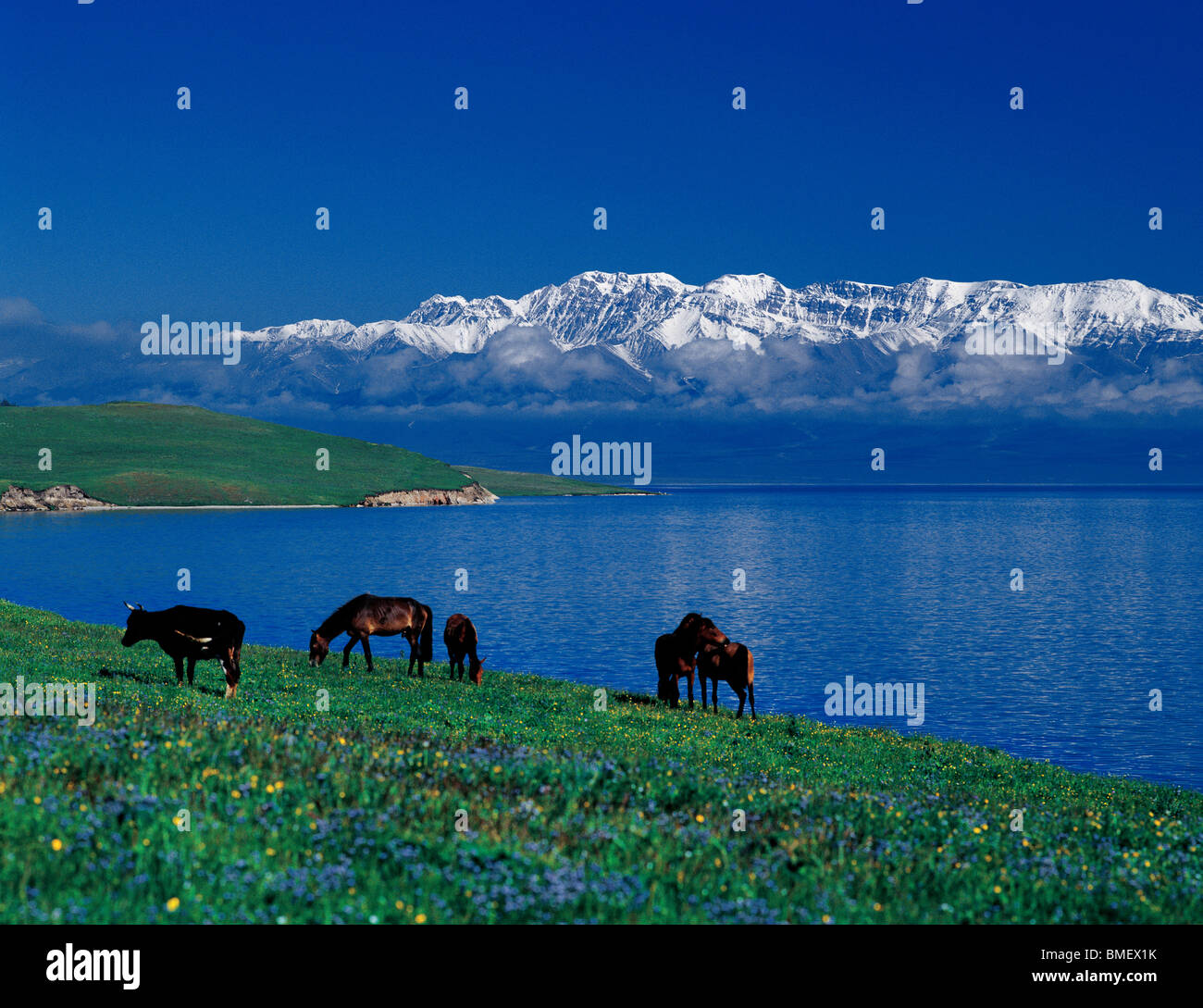 Magnificent Sailimu Lake, Bole County, Bortala Mongol Autonomous Prefecture, Xinjiang Uyghur Autonomous Region, China Stock Photo
