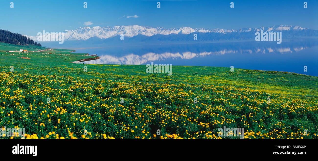 Magnificent Sailimu Lake, Bole County, Bortala Mongol Autonomous Prefecture, Xinjiang Uyghur Autonomous Region, China Stock Photo