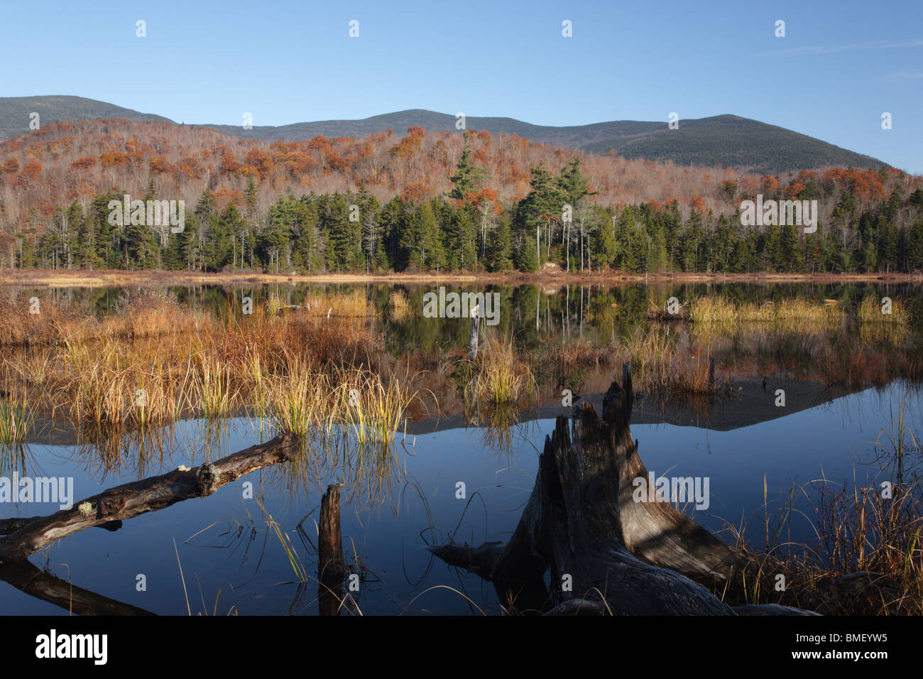 Sandwich Wilderness Guinea Pond during the autumn months in Sandwich
