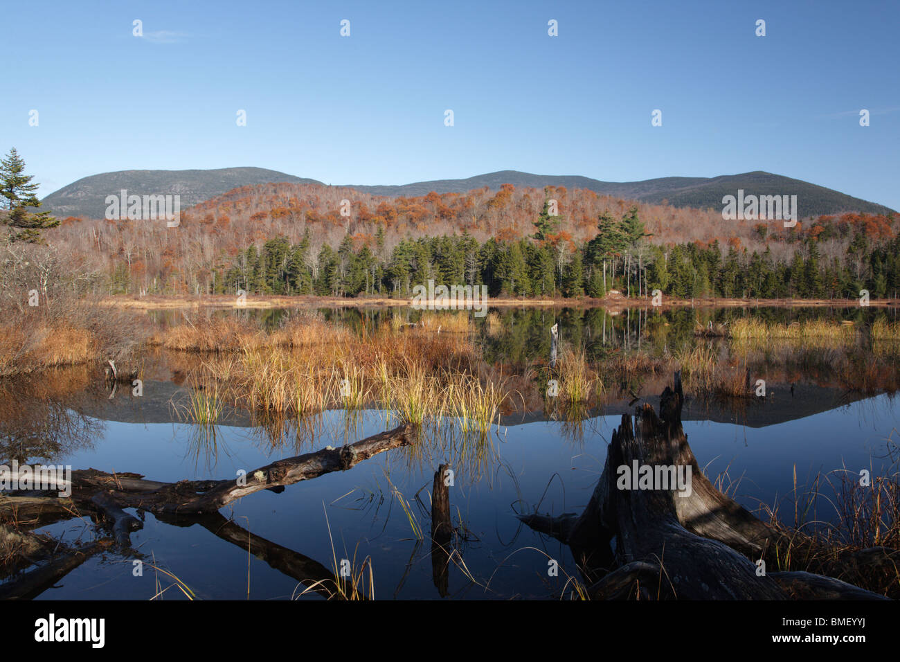Sandwich Wilderness Guinea Pond during the autumn months in Sandwich