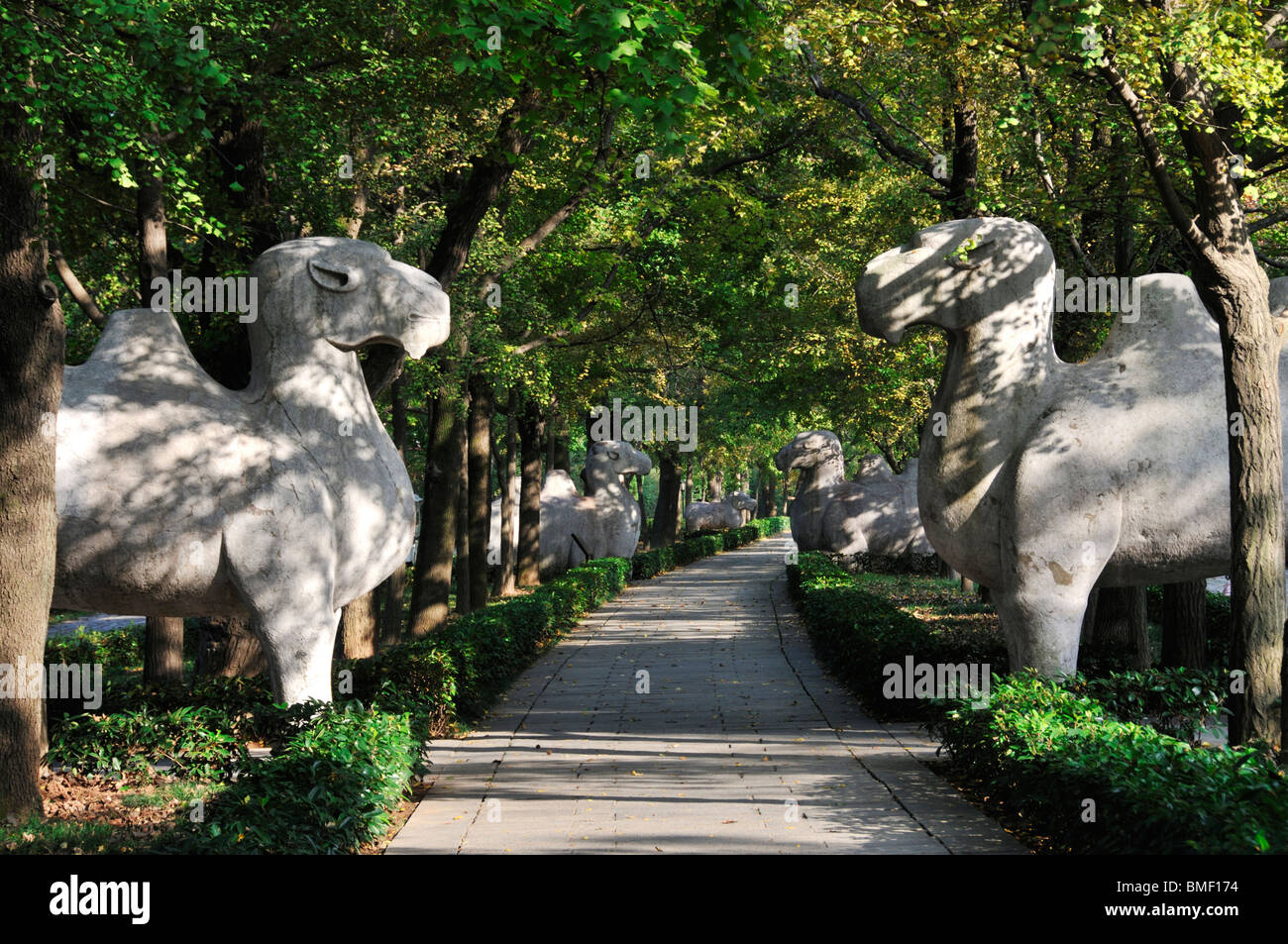 Statues of stone camel, Sacred Way, Ming Xiaoling ...