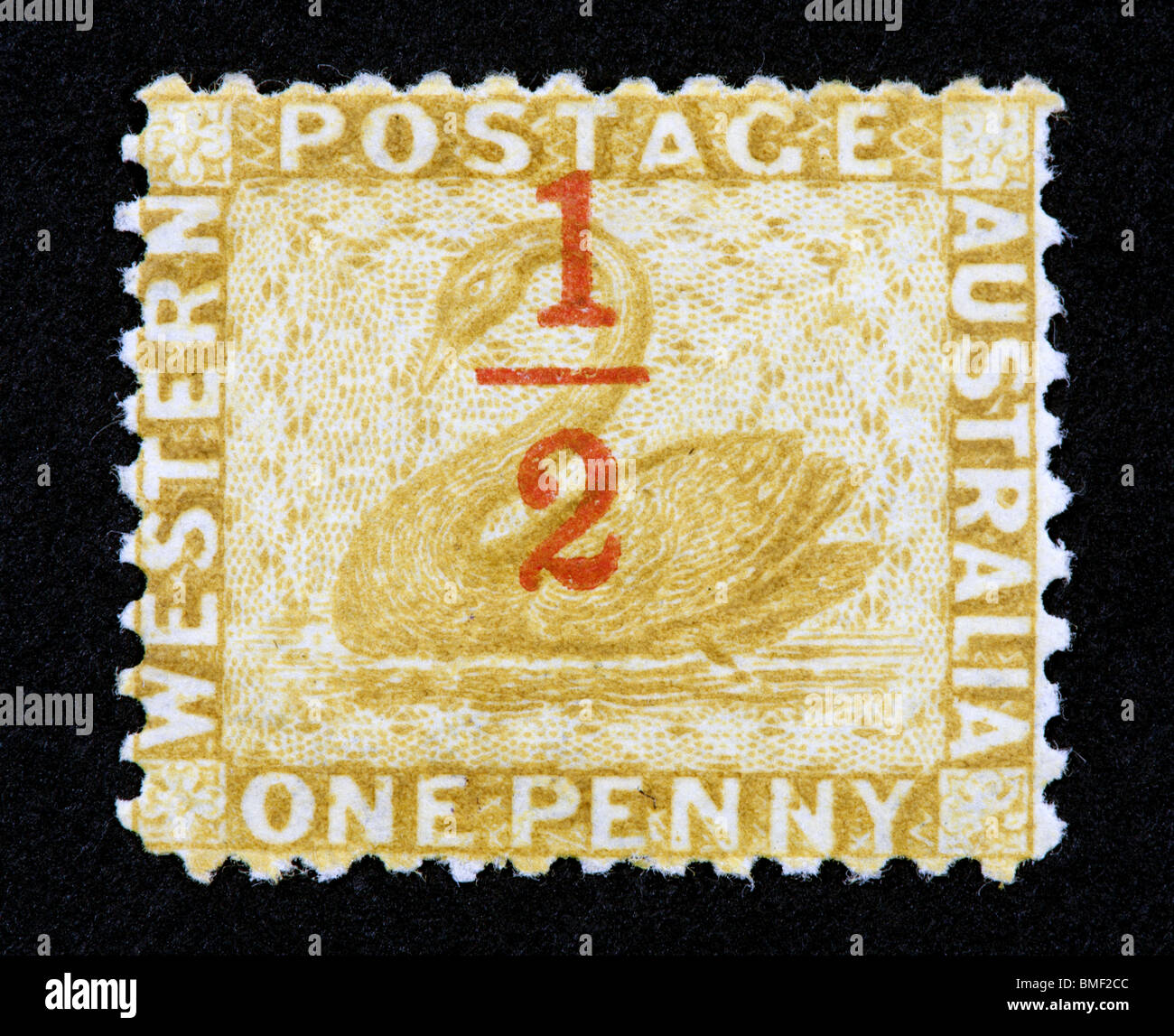Postage stamp from Western Australia depicting a swan Stock Photo Alamy