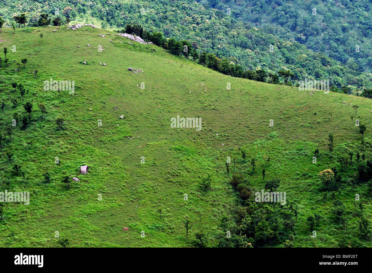 Hill tops and Valleys in Tamilnadu landscape scenic Stock Photo
