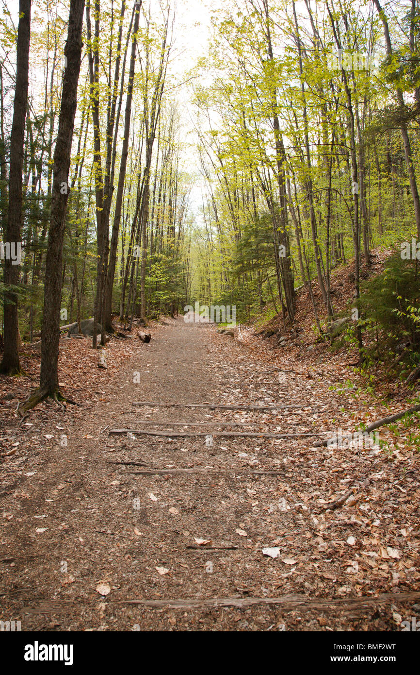 Lincoln Woods Trail in Lincoln, New Hampshire USA Stock Photo Alamy