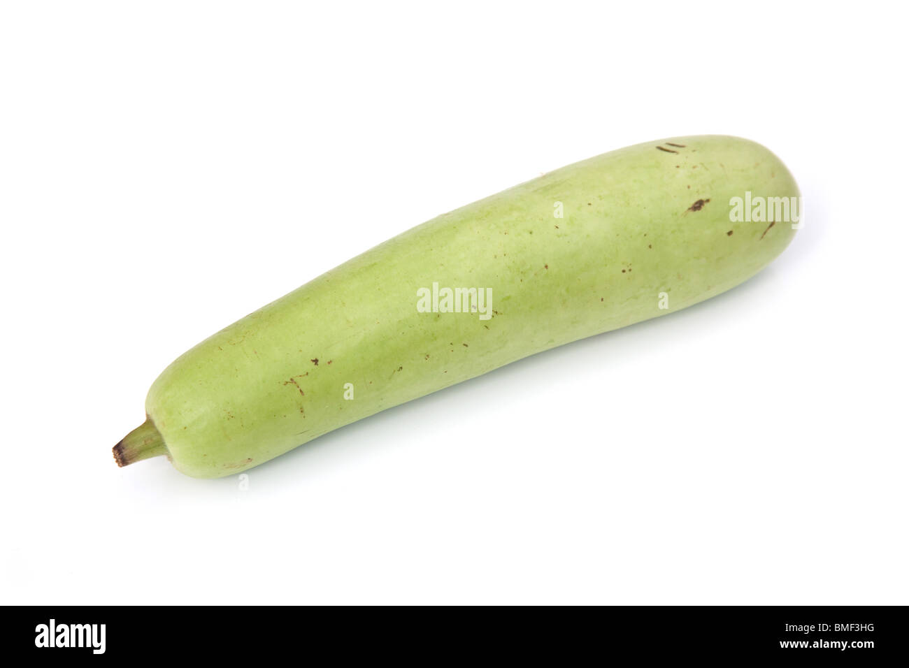 Dudhi or Bottle gourd isolated on a white studio background Stock Photo
