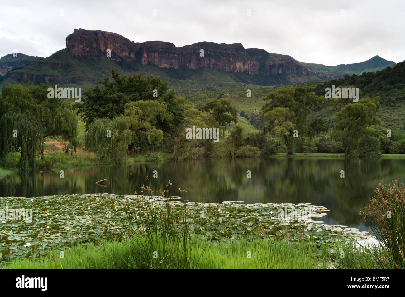 The Drakensberg, KwaZulu-Natal, South Africa Stock Photo - Alamy