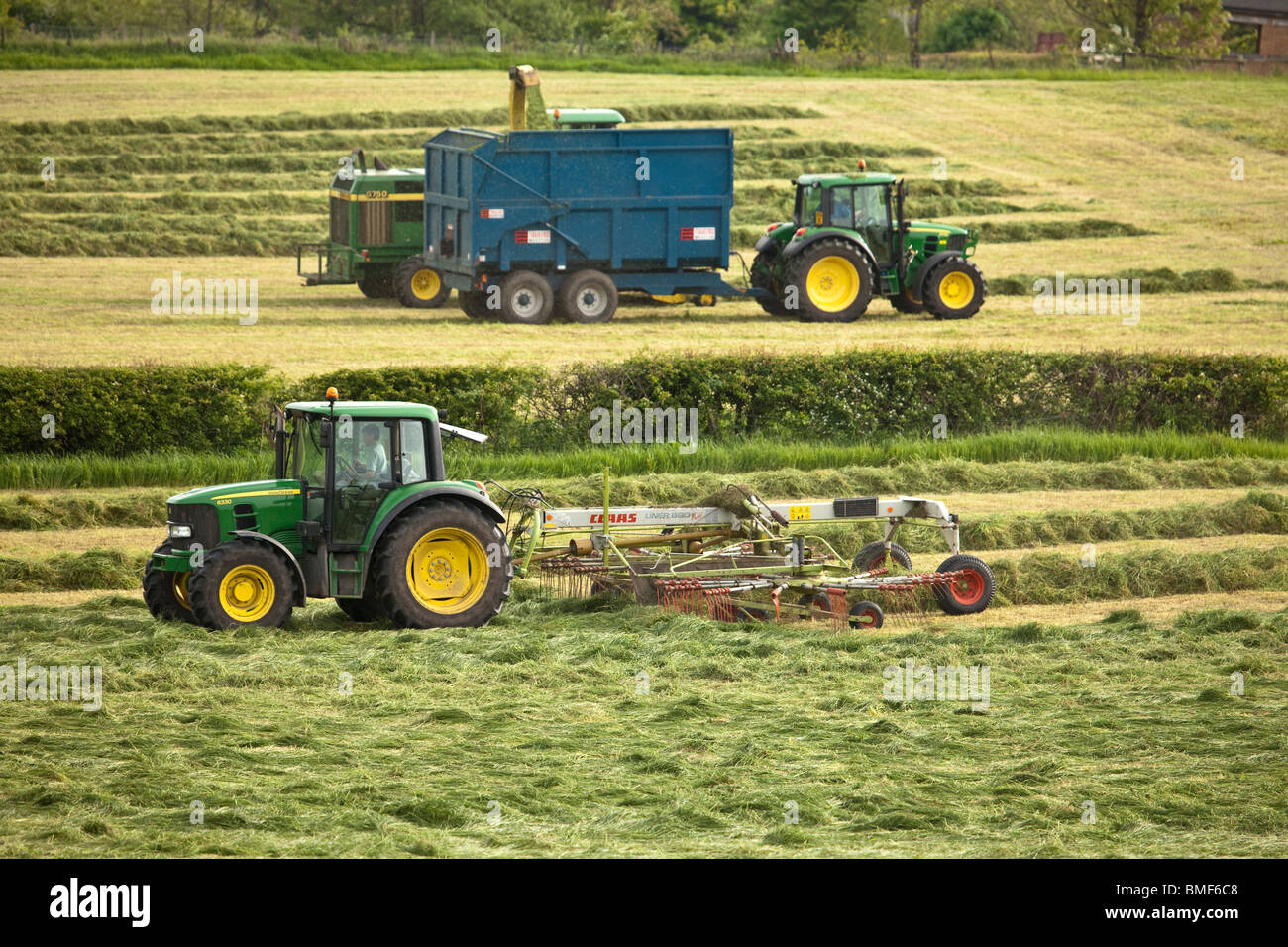 Farmer in the lower field lining silage for collection by the harvester. The latter stage is shown in the top field. Stock Photo