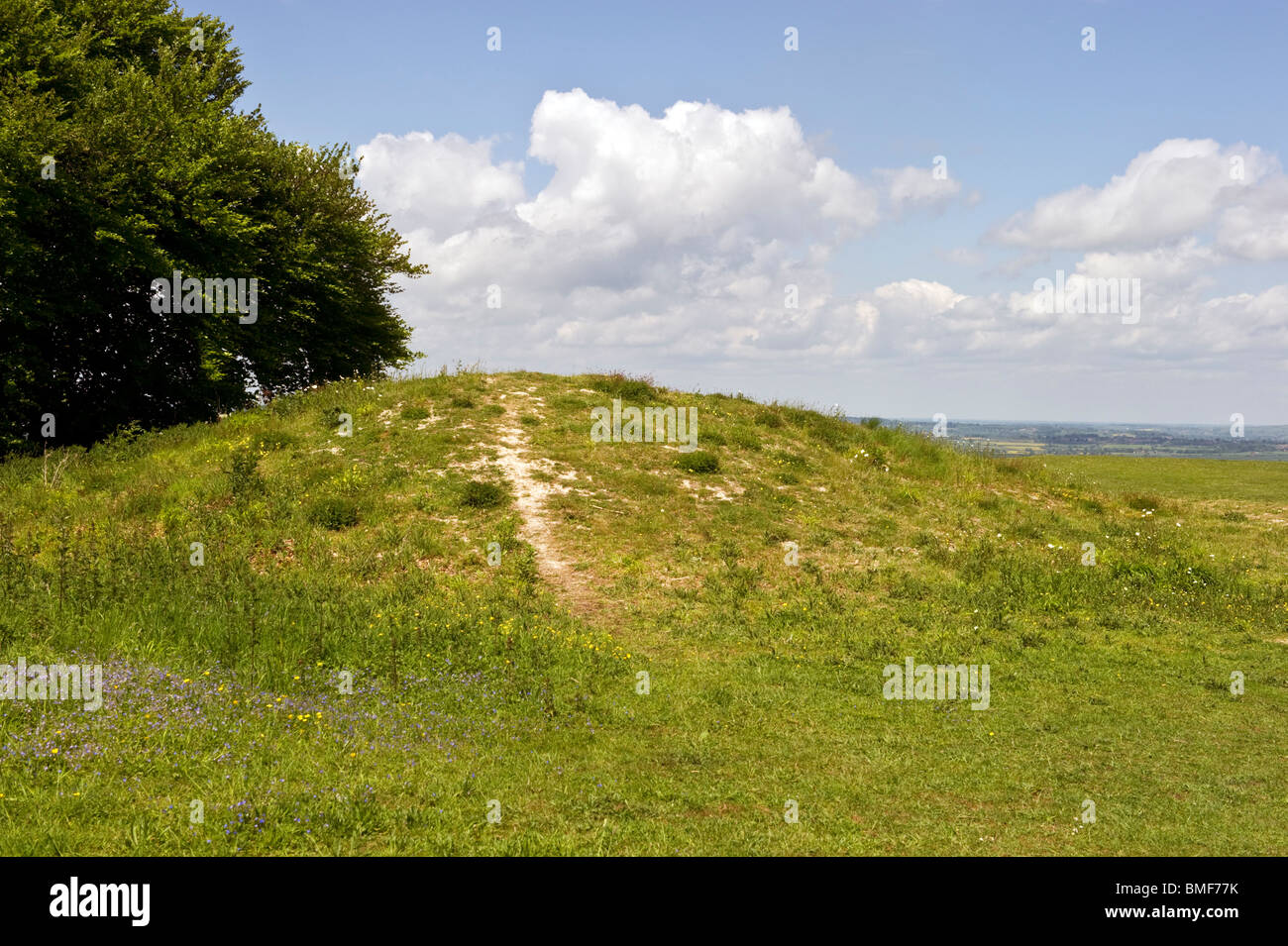 Bronze age Neolithic Long Barrow burial ground on Whiteleaf hill in the Chilterns Bucks UK Stock Photo