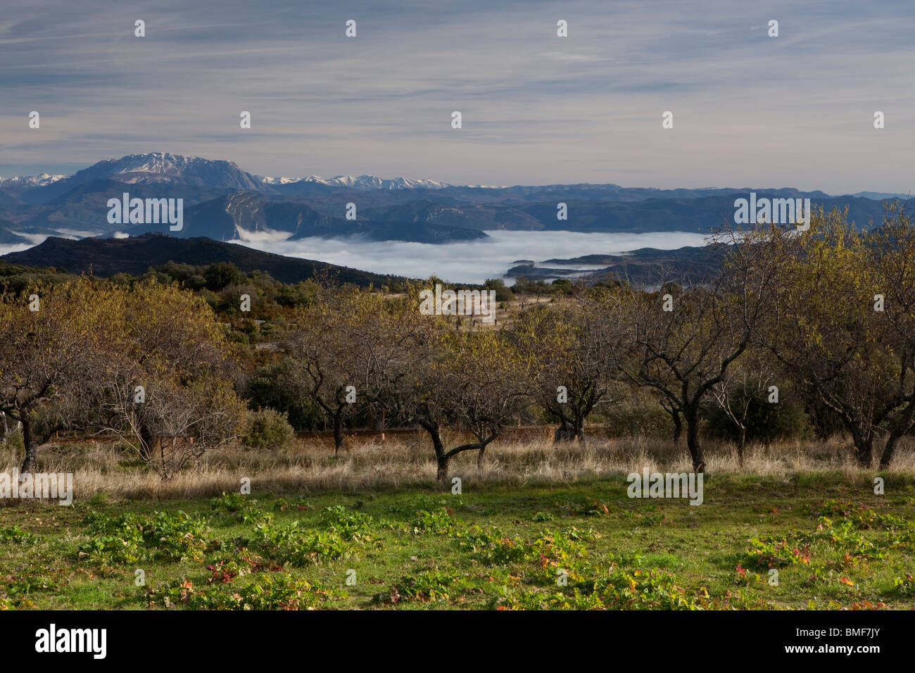 View of Sobrarbe from Betorz, Sierra de Guara, Huesca, Spain Stock Photo