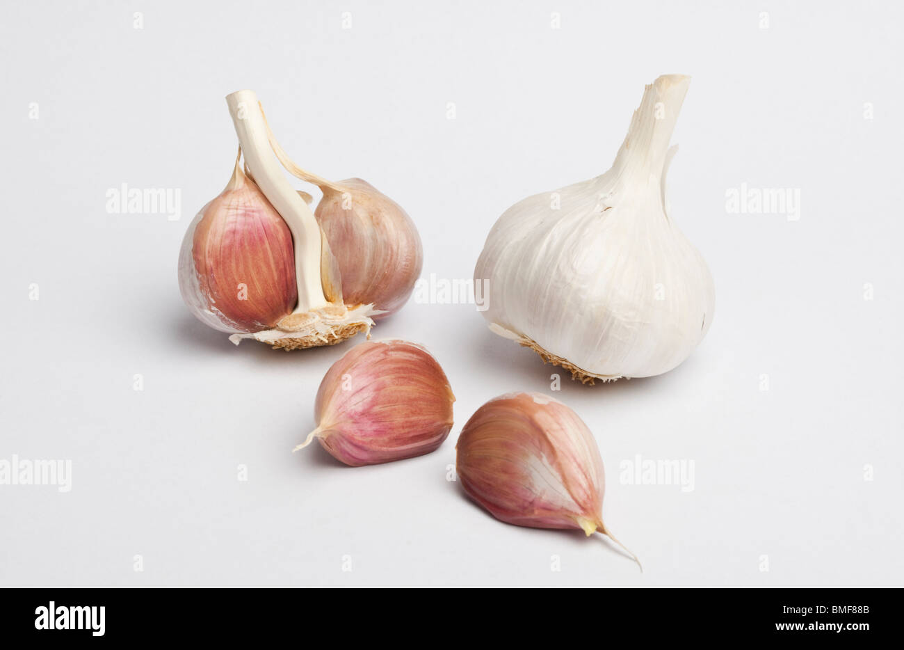 Garlic bulb and cloves Stock Photo Alamy