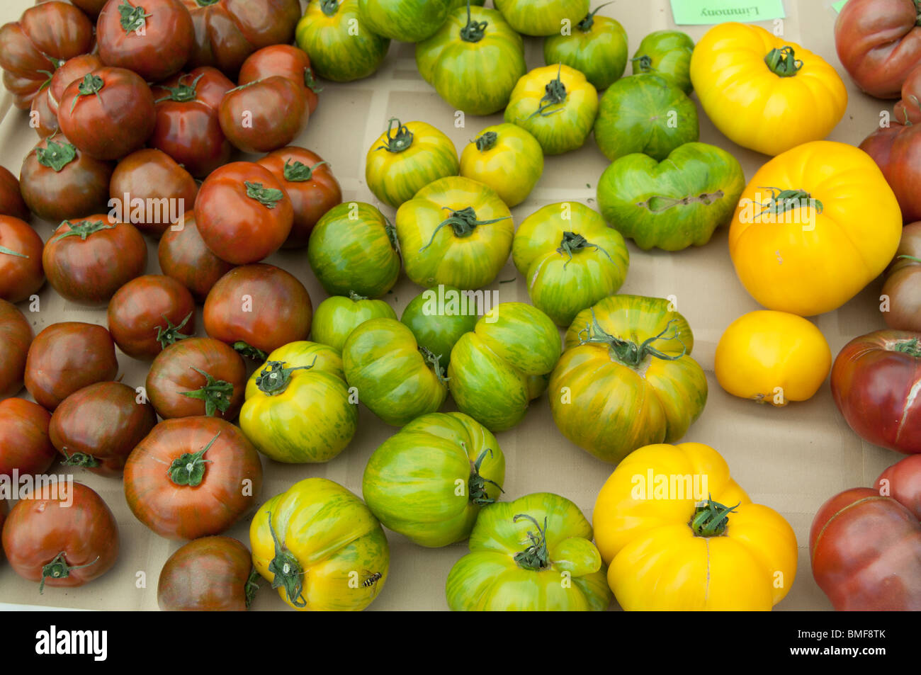 Heirloom tomatoes on sale at the Issaquah, Washington Saturday Market. Stock Photo