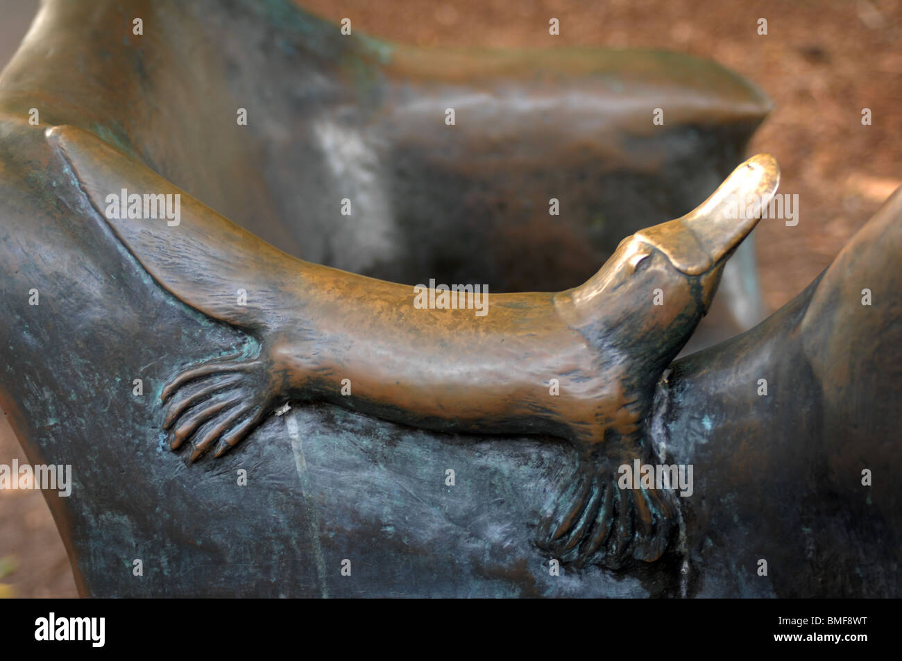 Platypus Bronze Sculpture, Botanical Gardens, Brisbane, Queensland