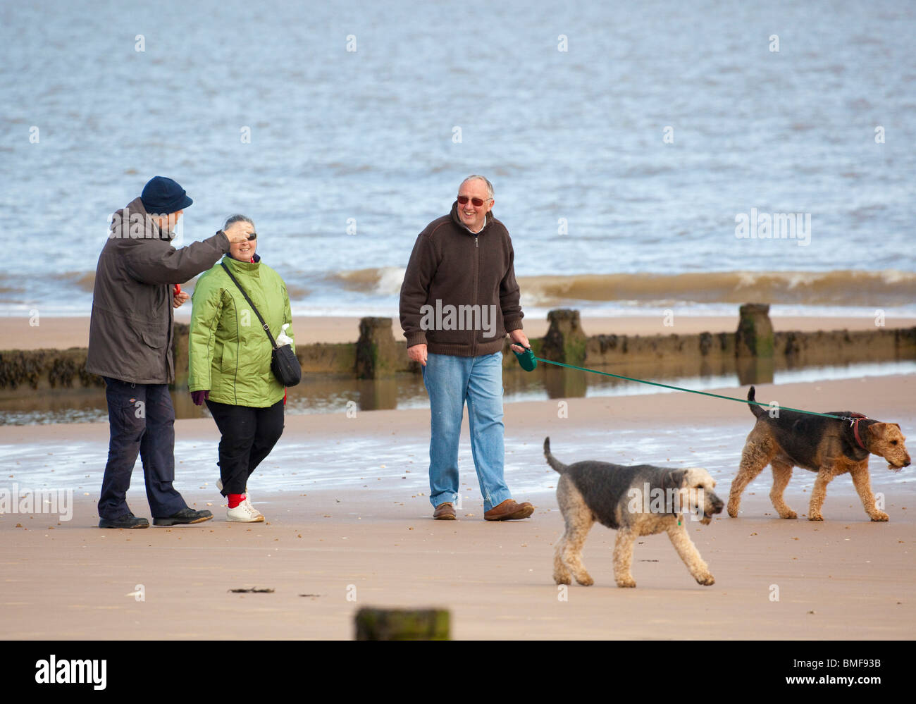 group of people walking with dogs on beach Stock Photo