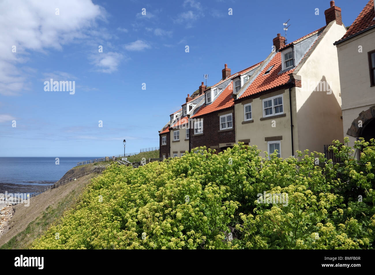 Old Smoke House Cottages Whitby North Yorkshire Uk Stock Photo