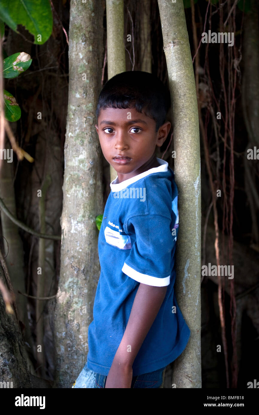 Young Maldivian boy in island tree setting Stock Photo