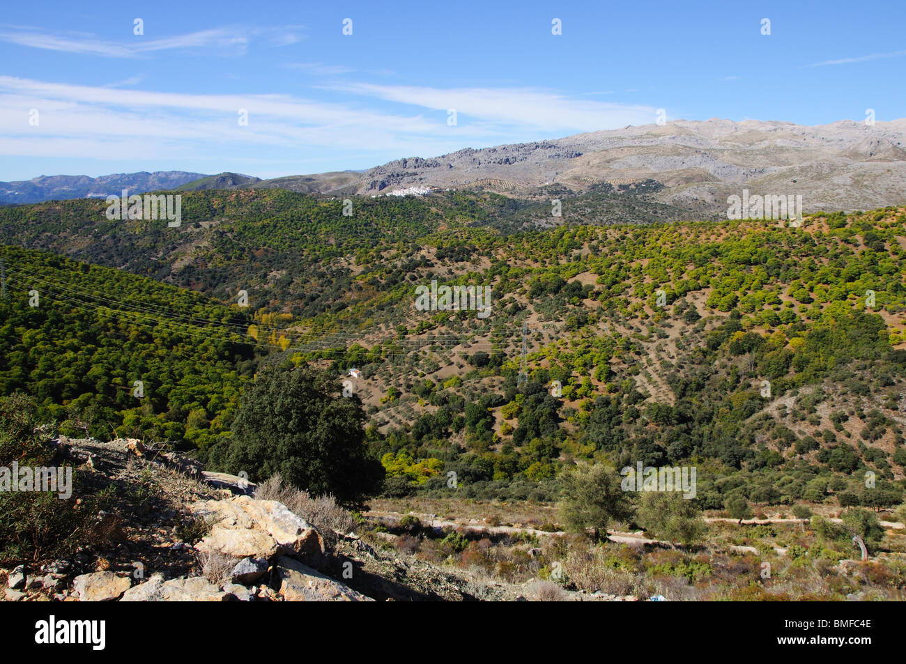 View of countryside, Igualeja, Serrania de Ronda, Malaga Province, Andalucia, Spain. Stock Photo