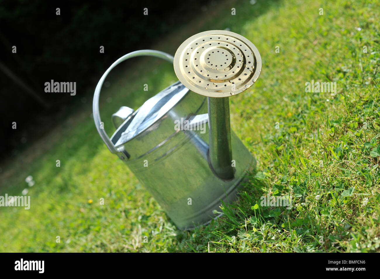 Watering Can Stock Photo