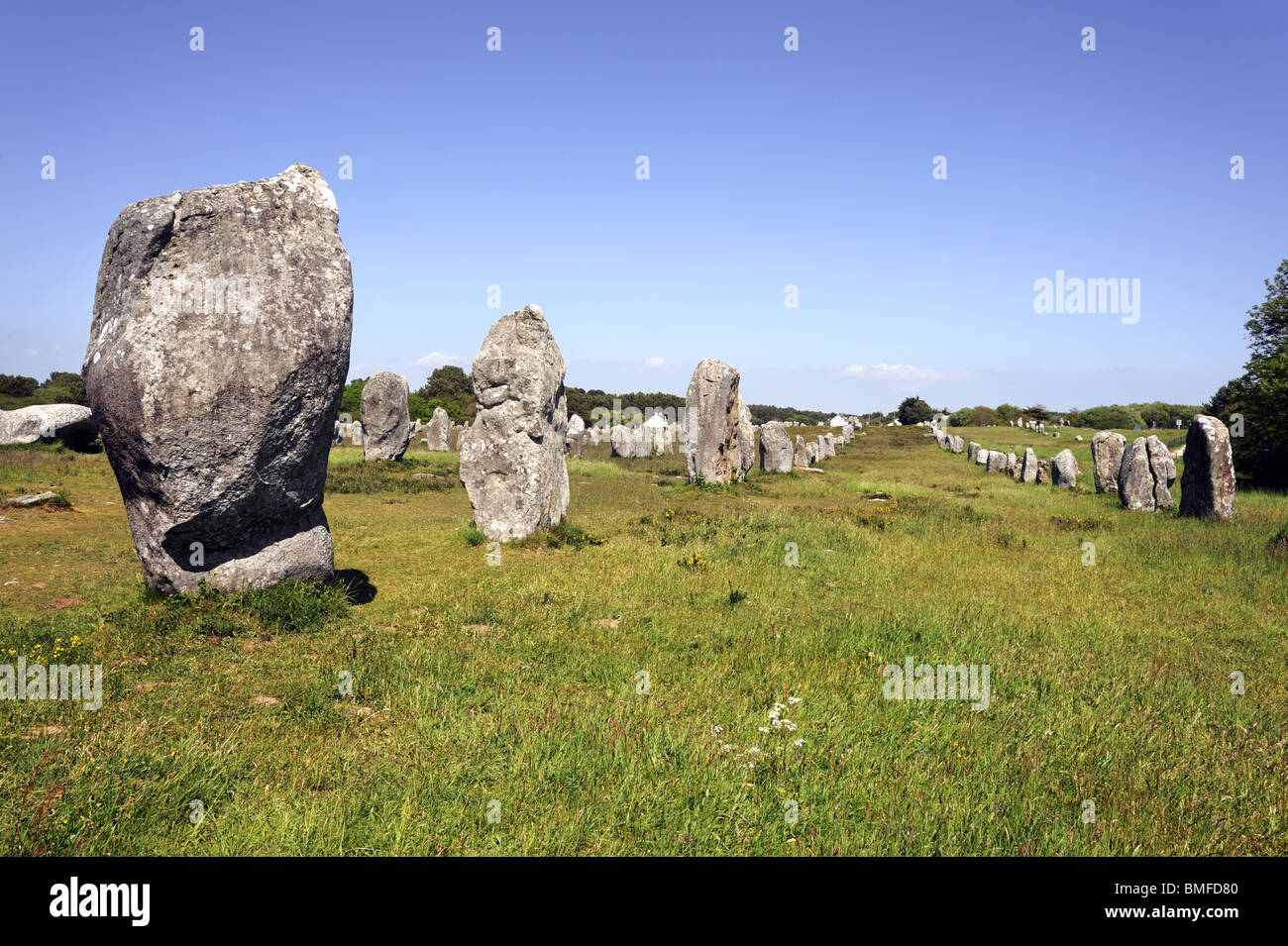 Lines of standing stones at Carnac, Brittany, France. Stock Photo