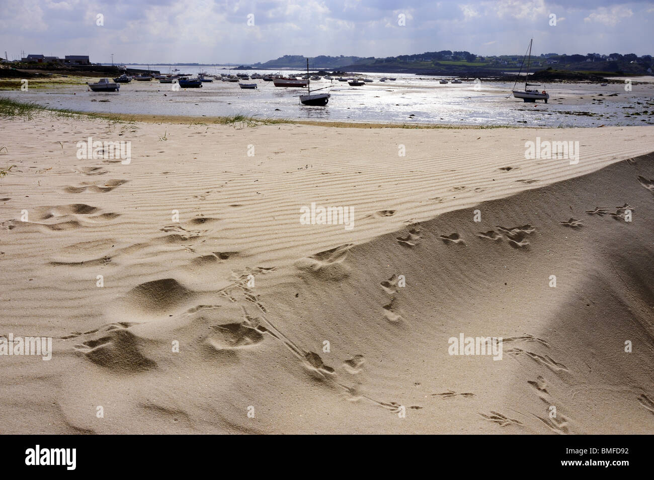 The beach and sand dunes, St Michel, Finistere, Brittany, France Stock Photo