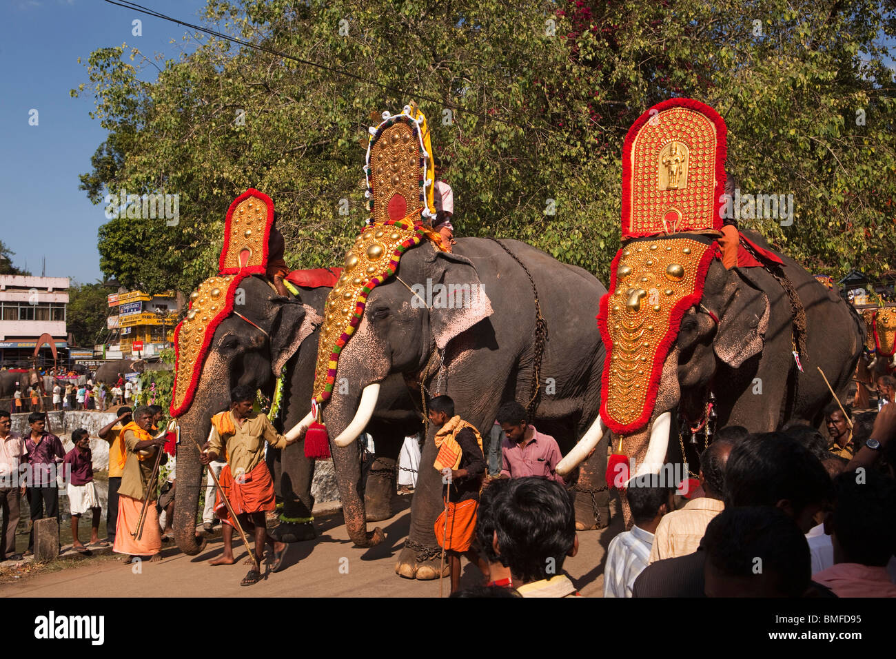 India, Kerala, Adoor, Sree Parthasarathy temple, Gajamela festival, caparisoned elephants in ritual procession Stock Photo