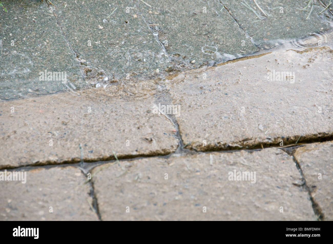 Rain on the pavement Stock Photo Alamy