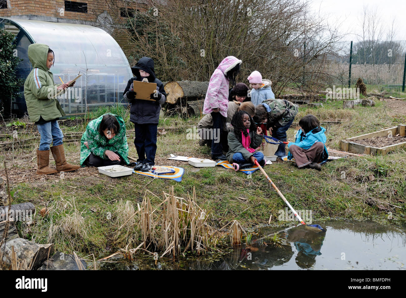 Group of children with their teacher pond dipping, Hackney, London UK Stock Photo