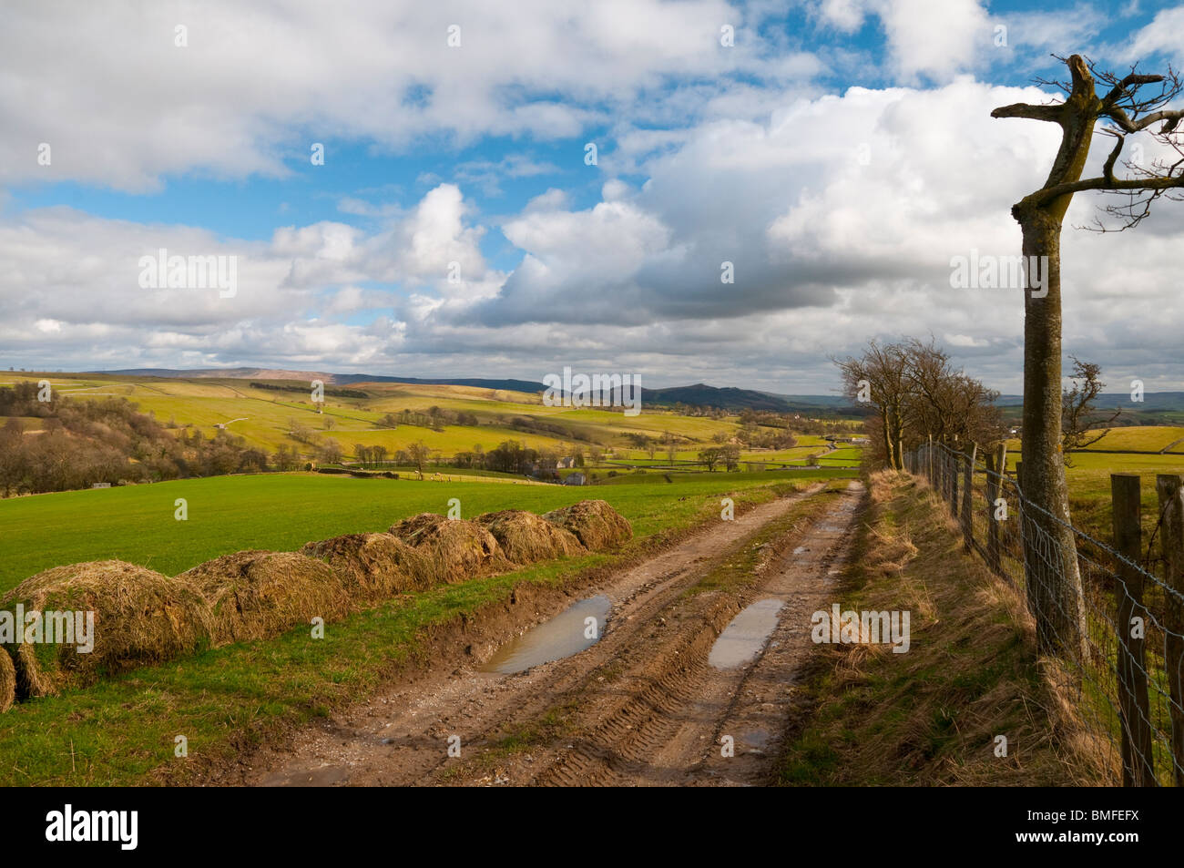A track through the Yorkshire Dales Stock Photo Alamy