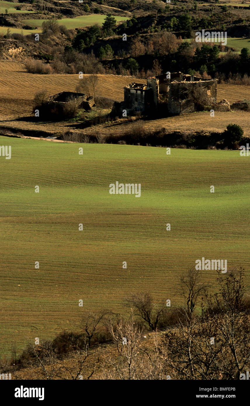Crop, Fueva valley, Huesca, Spain Stock Photo