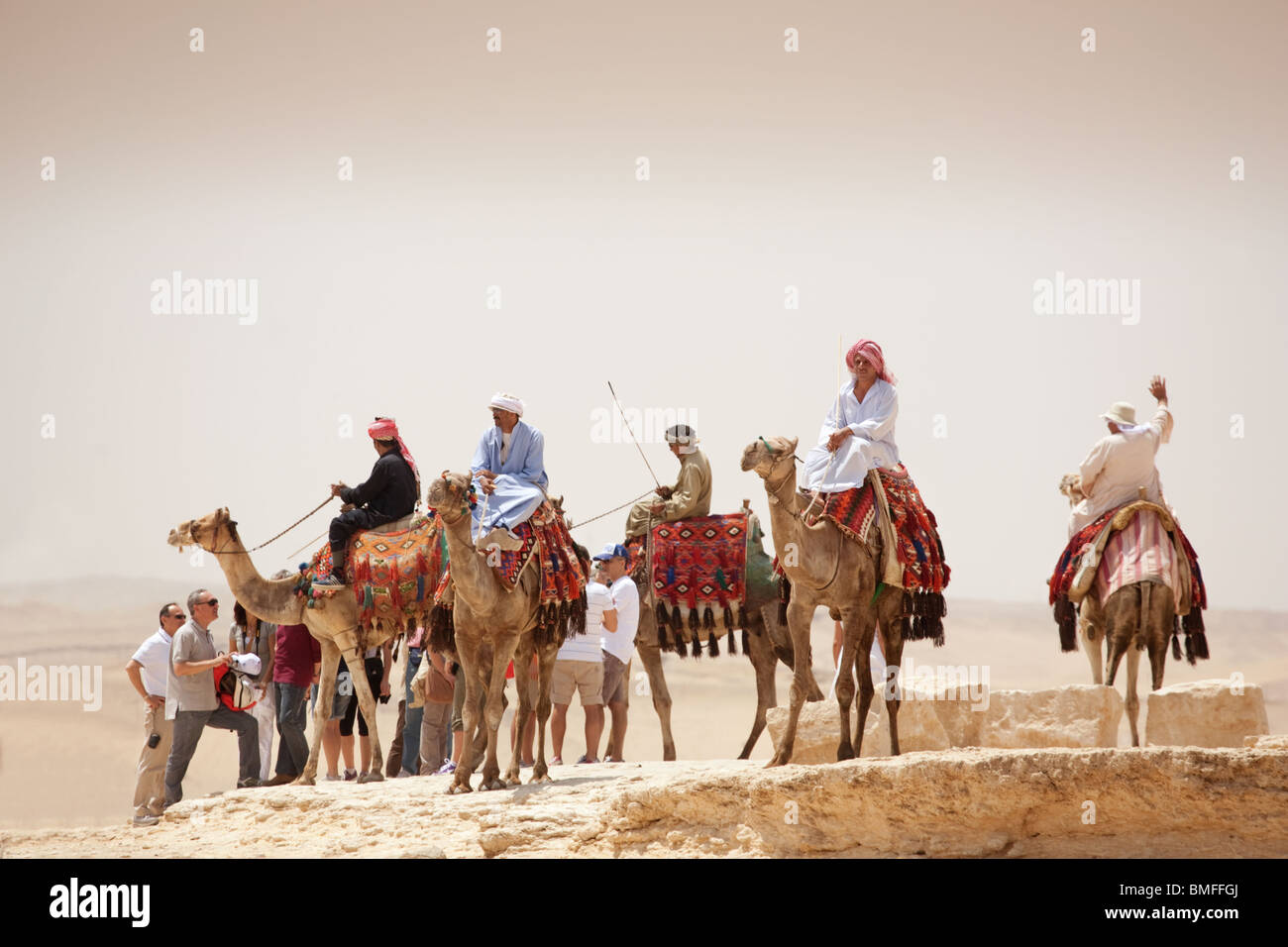 A group of Bedouin arabs and their camels, Giza plateau, Cairo, Egypt, Africa Stock Photo