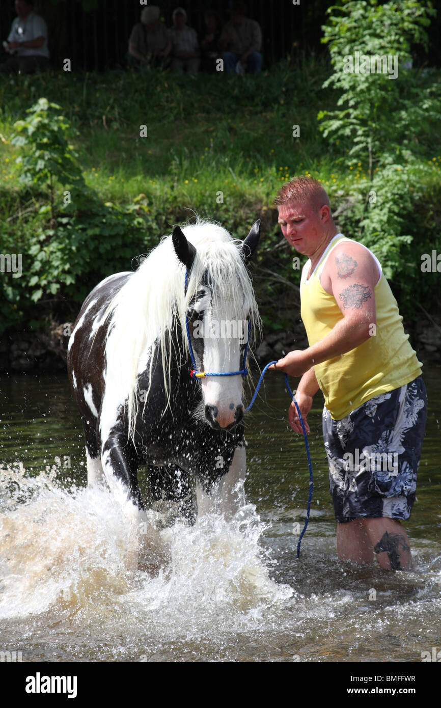 A horse dealer washing a horse at the Appleby Horse Fair, Appleby-In ...