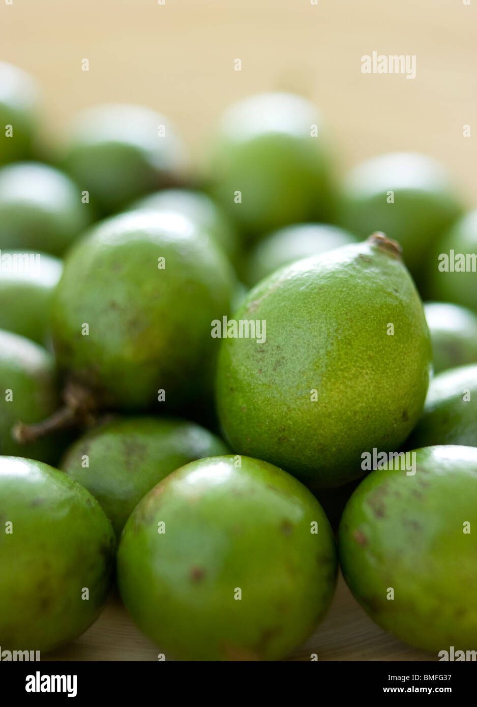 Ackee fruit hi-res stock photography and images - Alamy