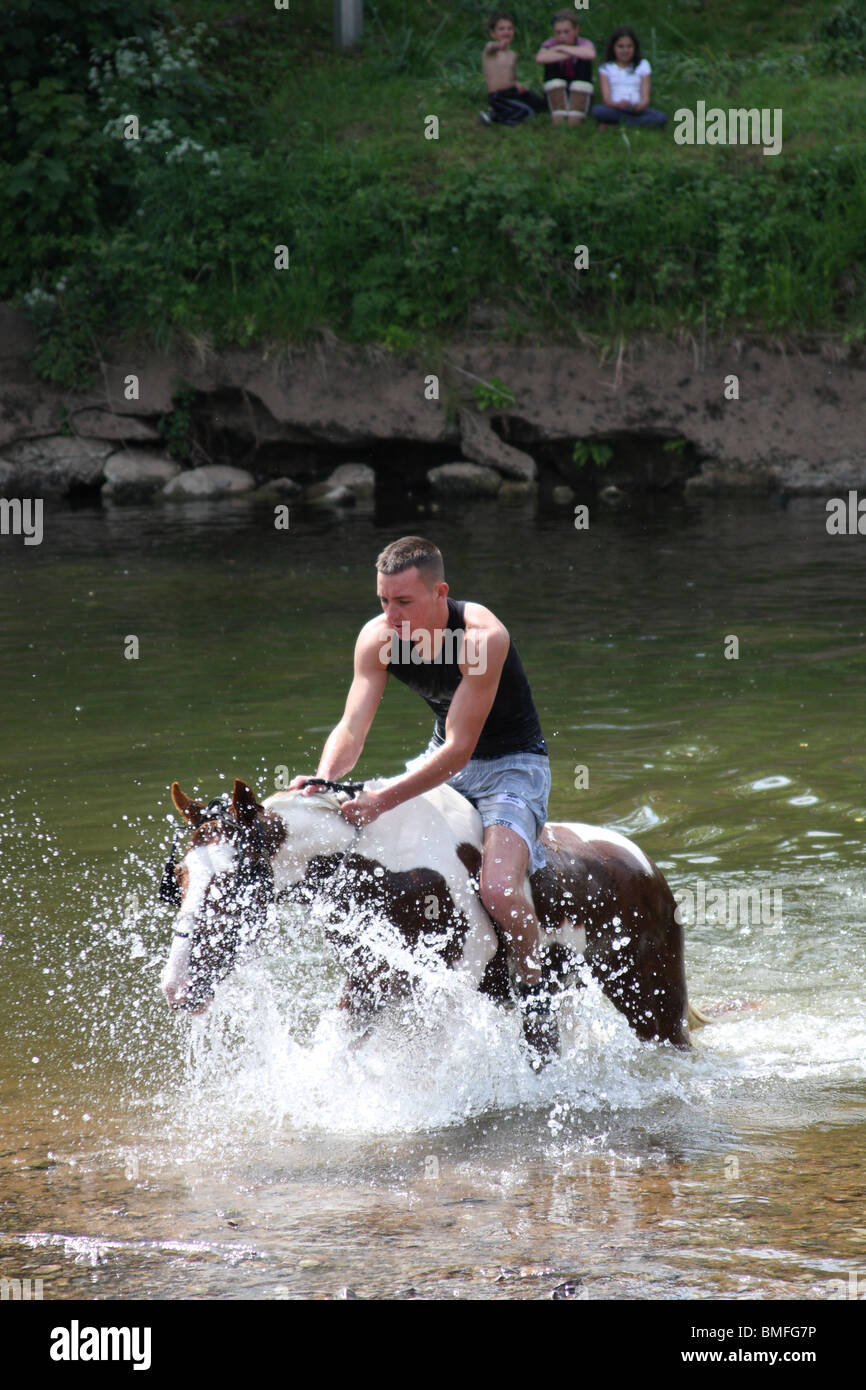 A gypsy boy swimming a horse at the Appleby Horse Fair, Appleby-In ...