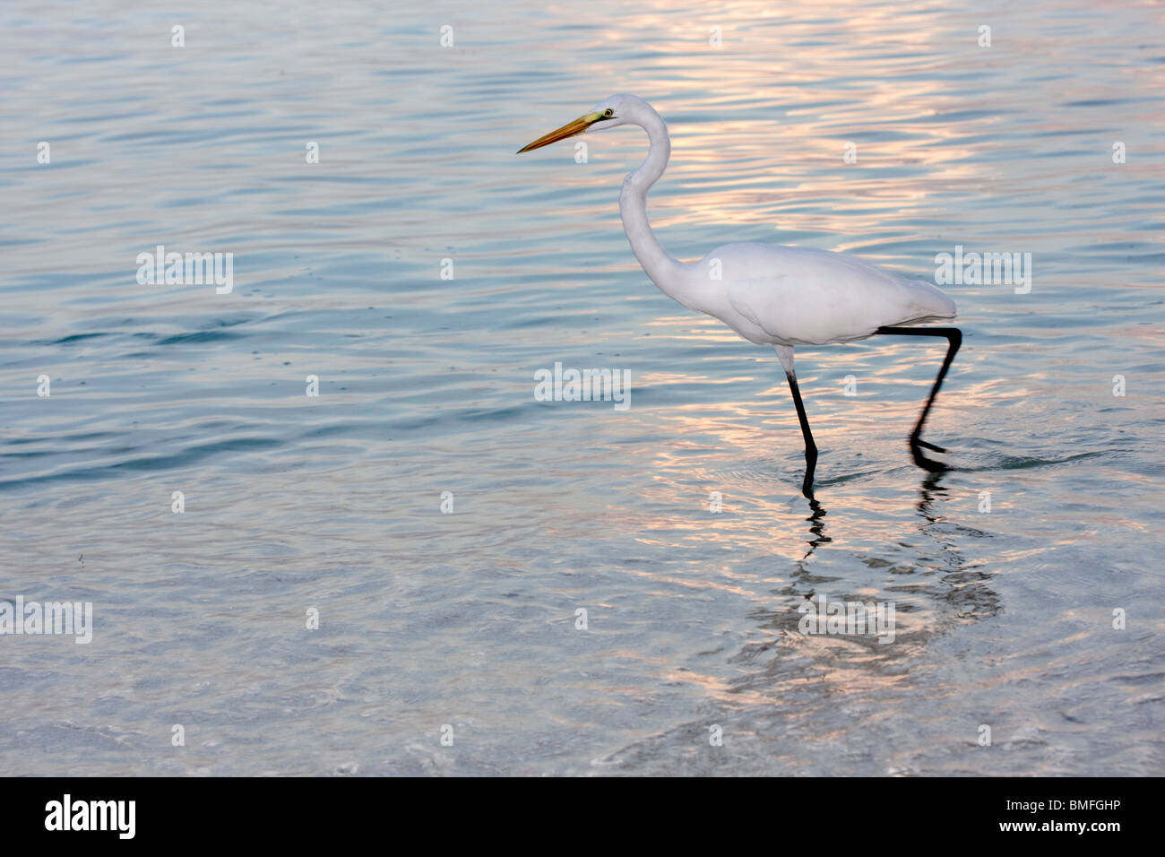White surf hires stock photography and images Alamy