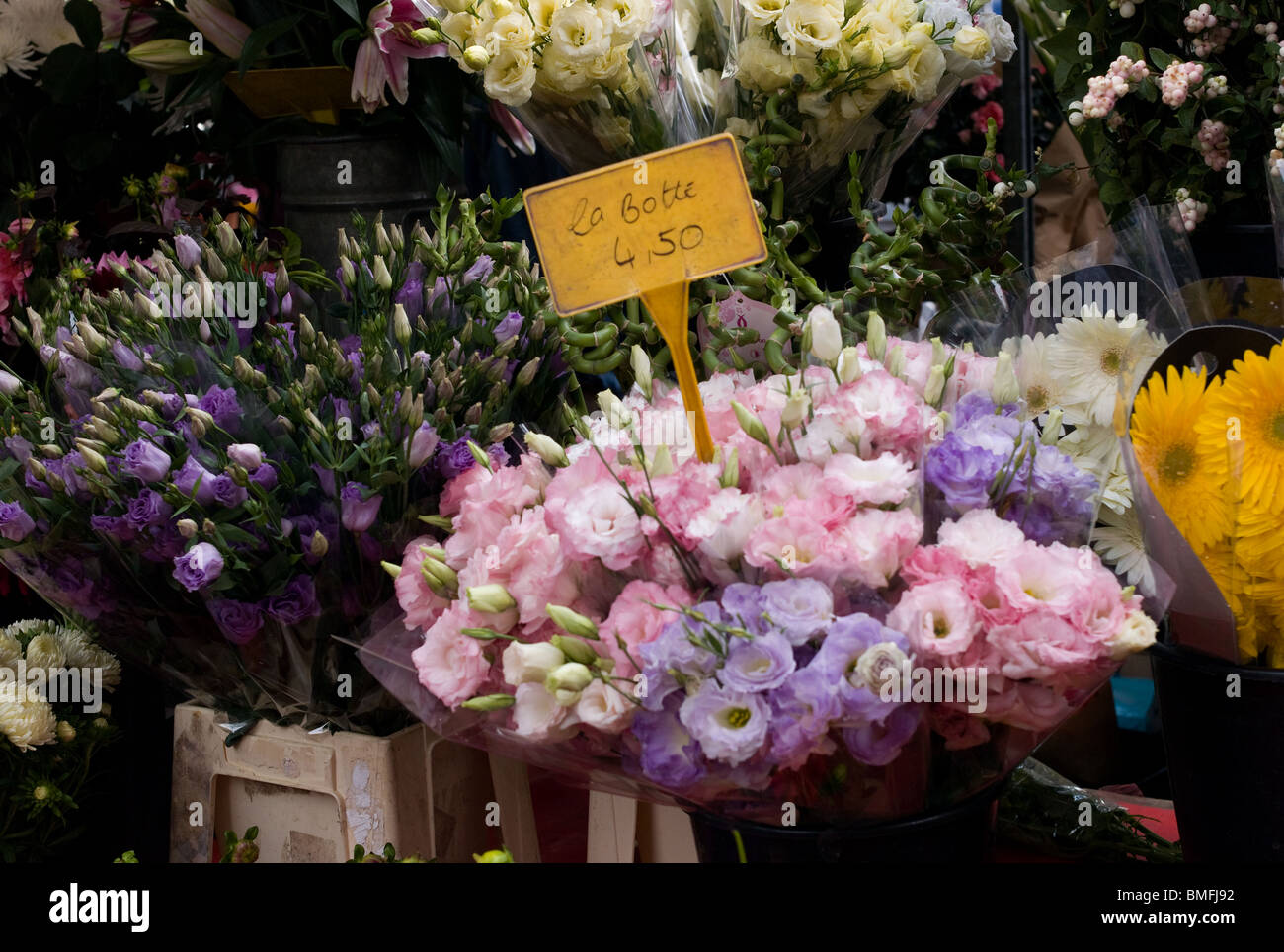 FLOWER MARKET, PARIS, FRANCE Stock Photo Alamy