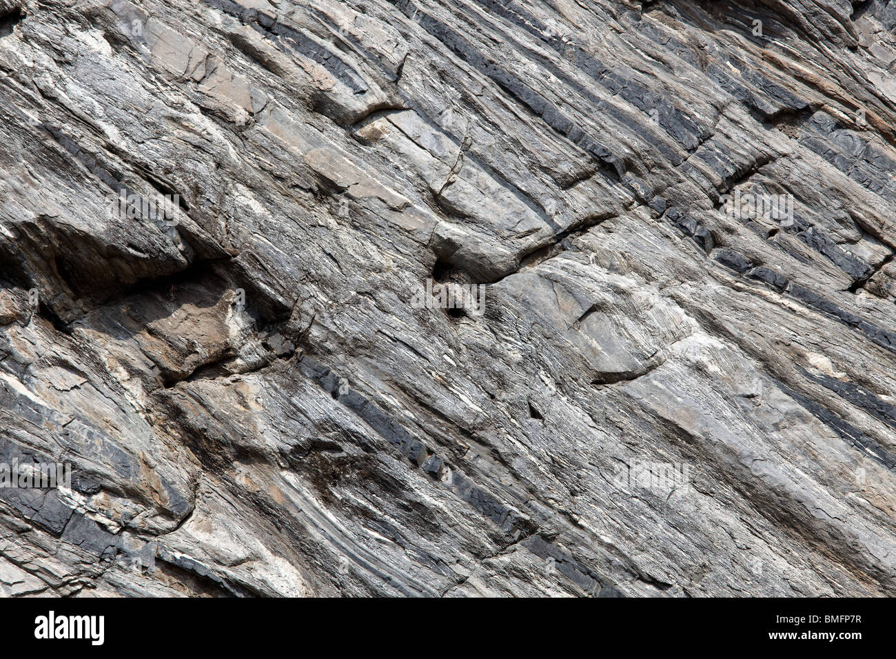Slab of shale for the background with copy space Stock Photo - Alamy