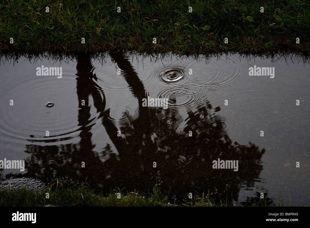 Raindrops falling onto a puddle at dusk Stock Photo - Alamy