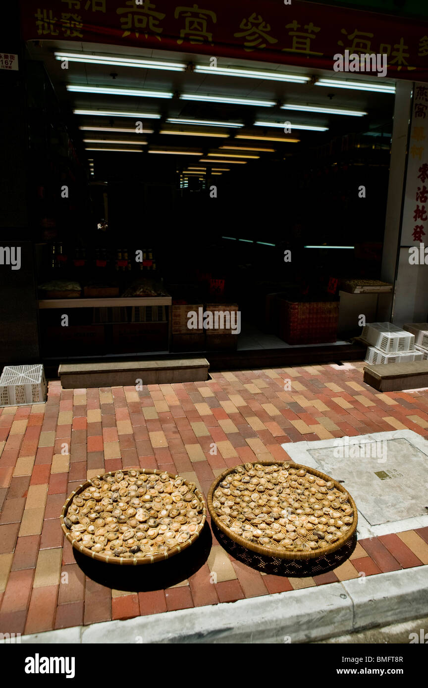 Abalone laying out to dry under the sun, Hong Kong, China Stock Photo Alamy