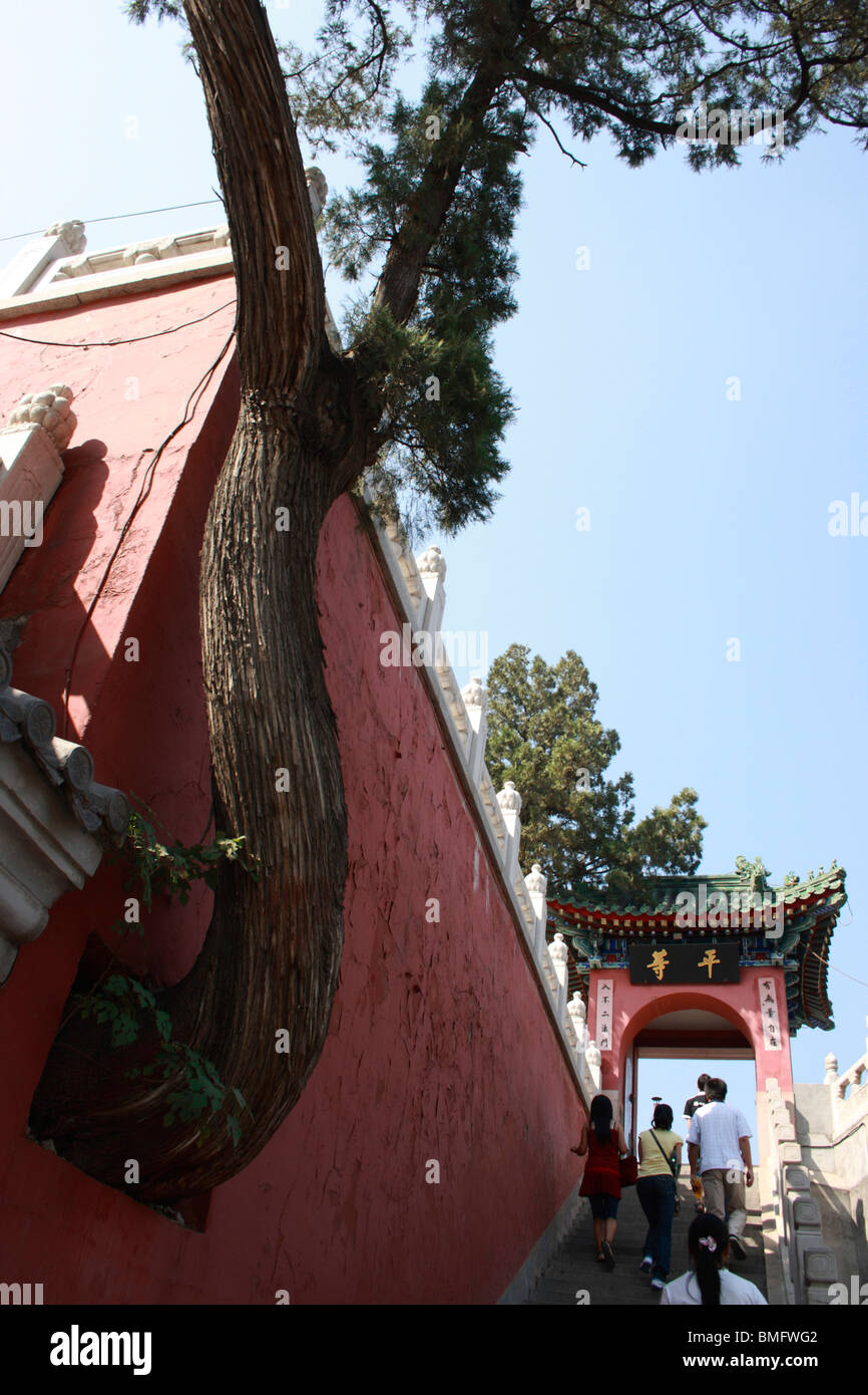 The way to the Buddhist Prayer Request Hall, Temple Of Divine Light