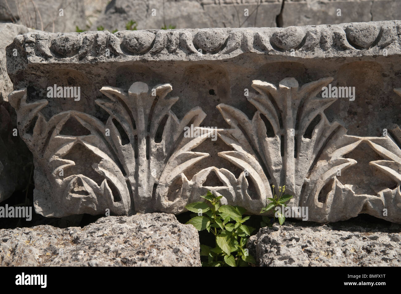 Turkey Antalya - Perge or ancient Pergamon - acanthus leaf frieze Stock Photo