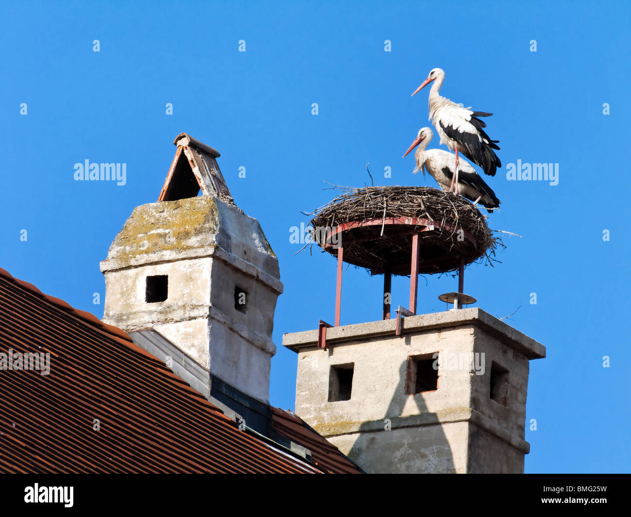 Two storks in the nest in Rust, Austria Stock Photo
