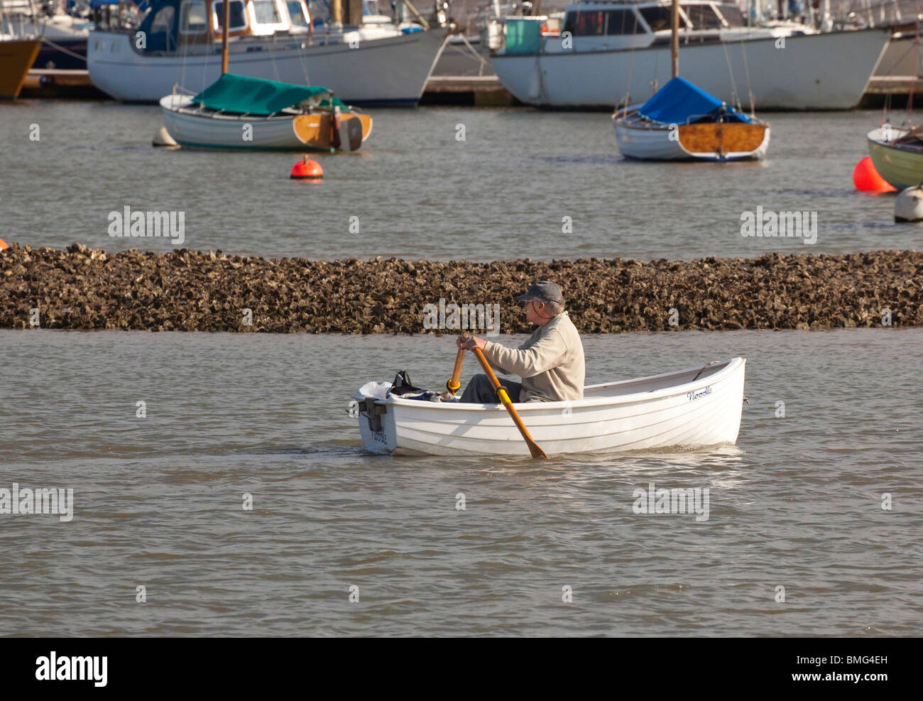 man rowing a boat at Brightlingsea Creek at Brightlingsea, Essex, UK Stock Photo