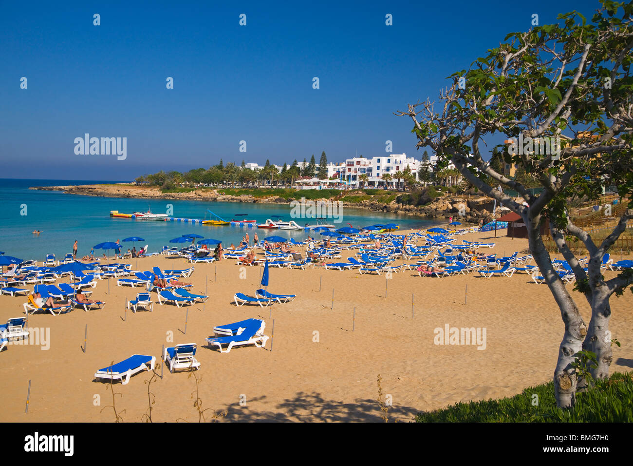 Cyprus, Protaras, Fig Tree bay, Ayia Napa Stock Photo - Alamy